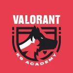 Valorant K9 Academy